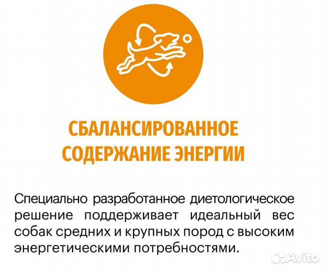 Корм сухой для собак karmy Active Medium & Maxi Ин