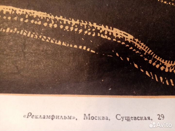 Афиша кино.Берегись,змеи