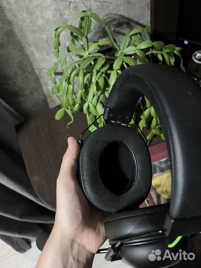 Наушники Razer blackshark v2