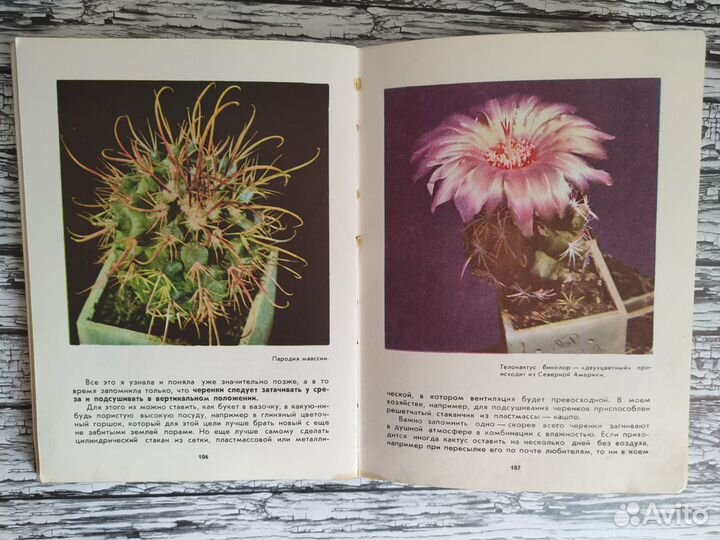 Книги о кактусах