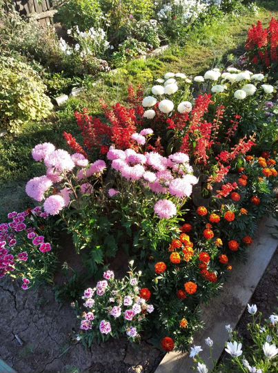 2-к. квартира, 42,3 м², 2/2 эт.