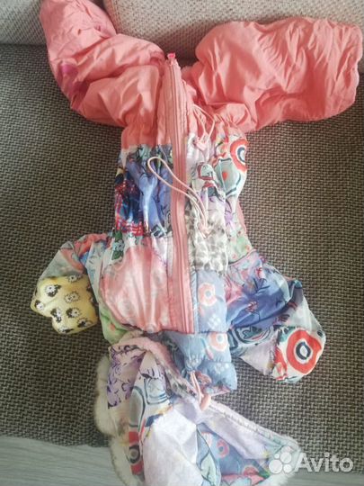 Одежда для собак