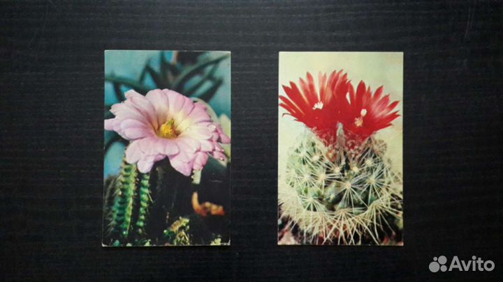 Комплект открыток 