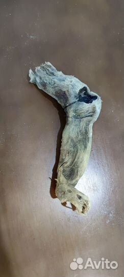 Коряги Дрифтвуд для аквариума и террариума