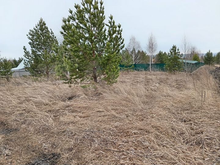 Участок 12 сот. (СНТ, ДНП)