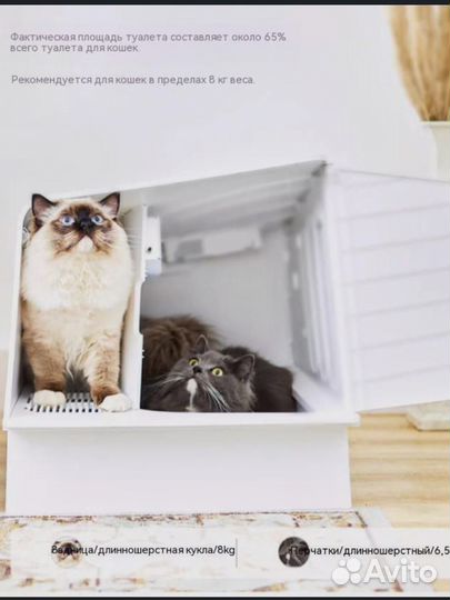 Туалет для кошек