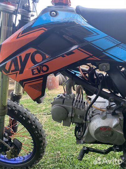 Продам питбайк Kayo 125 Evolution