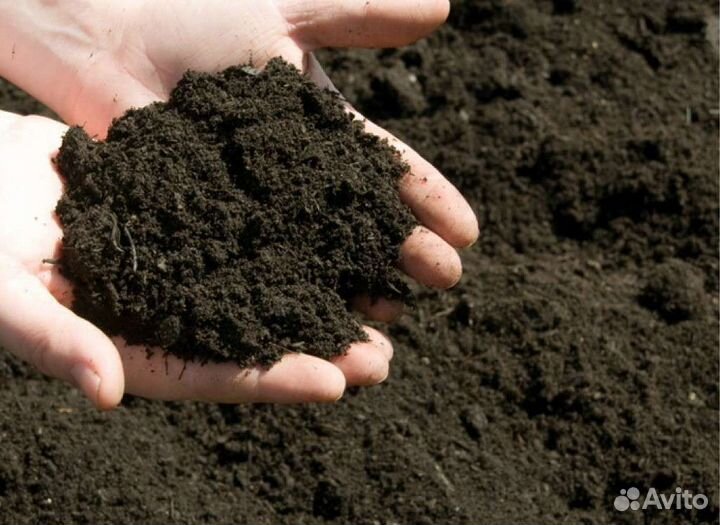 Чернозем грунт