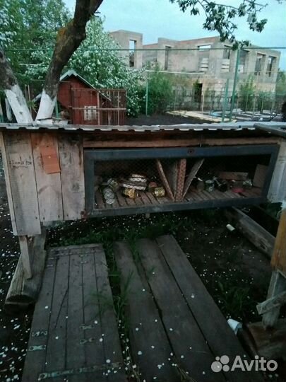 Клетки для кроликов