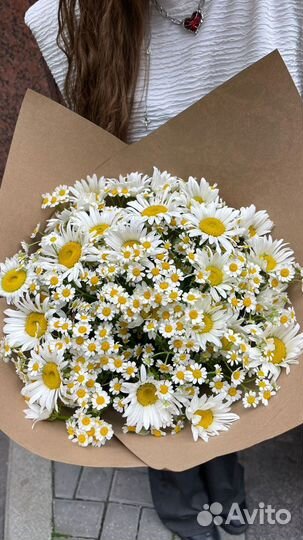 Букет ромашек для любимой