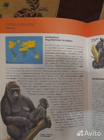 Энциклопедия 