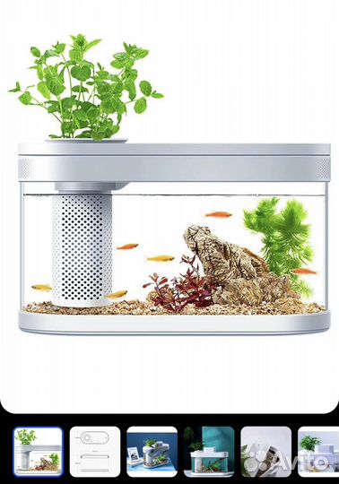 Аквариум xiaomi (акваферма)