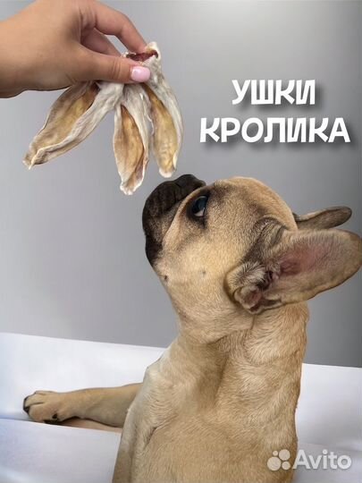 Лакомства для собак - ушки кролика