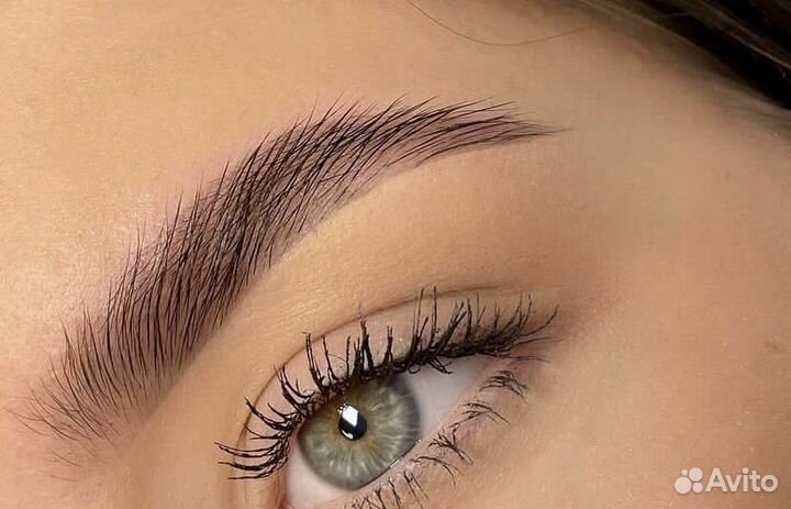 Мастер бровист