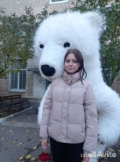 Поздравление от чебурашки и белого мишки