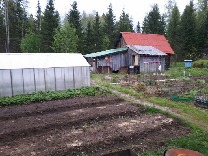 СНТ Сылва. СНТ Владимирский Жебреи. Жебреи Пермский край. Жебреи СНТ «Солнечная Поляна».