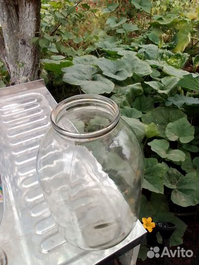 3х литровые банки