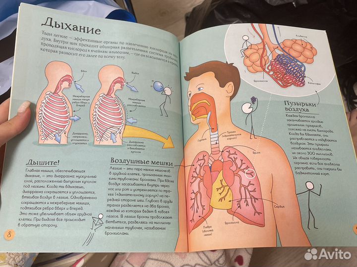 Детские книги отчего и почему