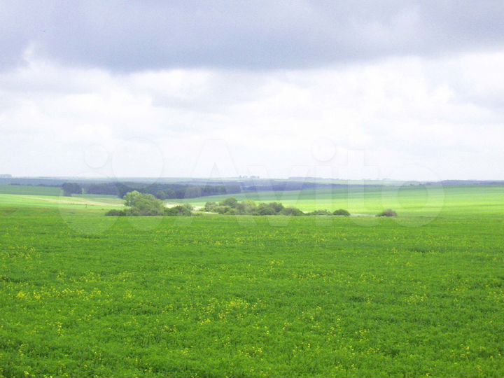 Участок 8,8 га (СНТ, ДНП)