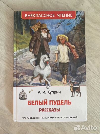 Книги для внеклассного чтения