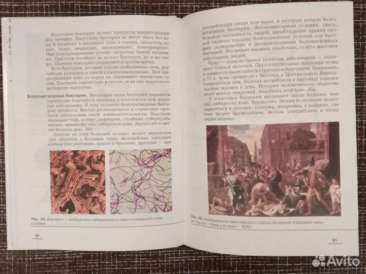 Учебник биология 5 класс