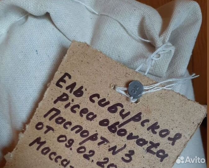 Доставка семян сосны