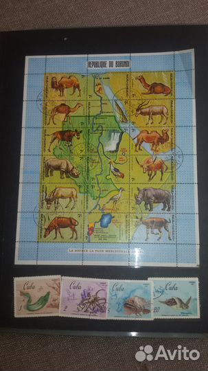 Коллекция марок