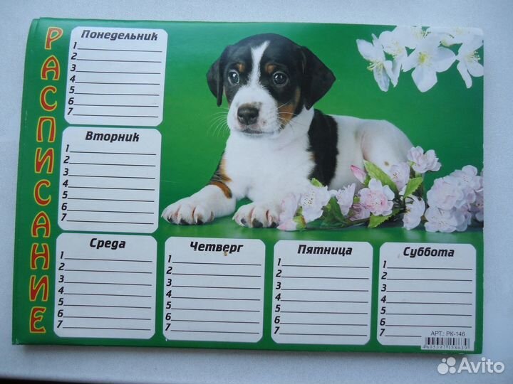 Расписание уроков, картон, всего 36 штук