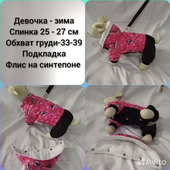 Одежда для собак