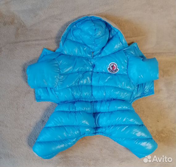 Одежда для маленьких собак зимняя