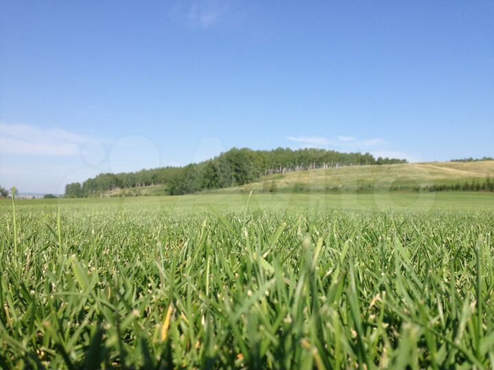 Участок 10,01 га (СНТ, ДНП)