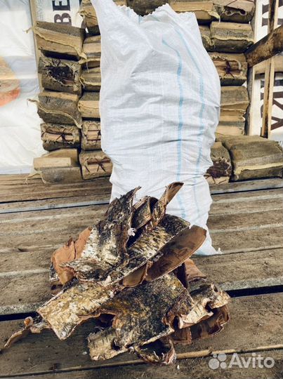 Березовая кора