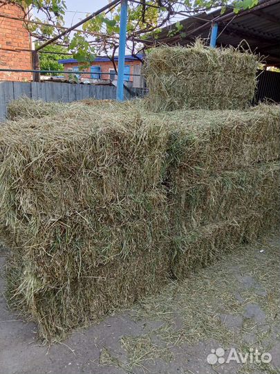 Сено люцерны в тюках