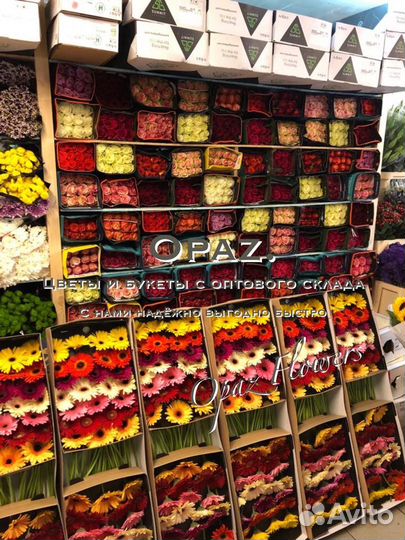 101 роза 70см Цветы Доставка