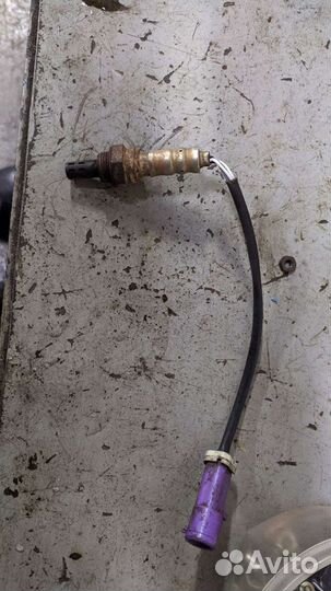 Лямбда зонд форд