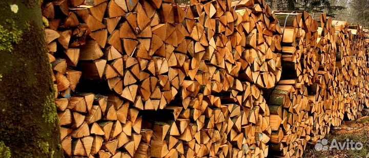 Дрова сухие