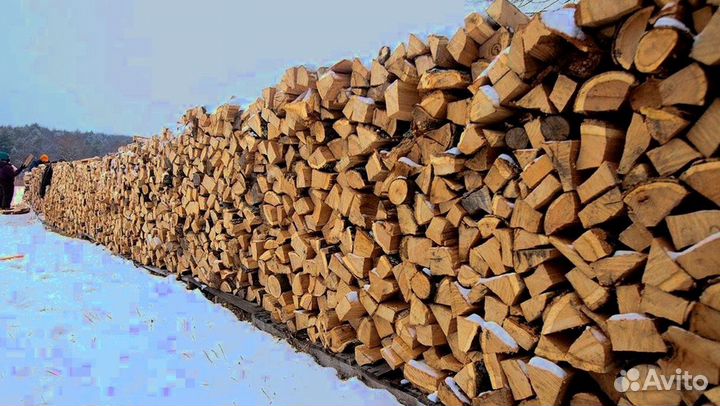 Дрова без сучков