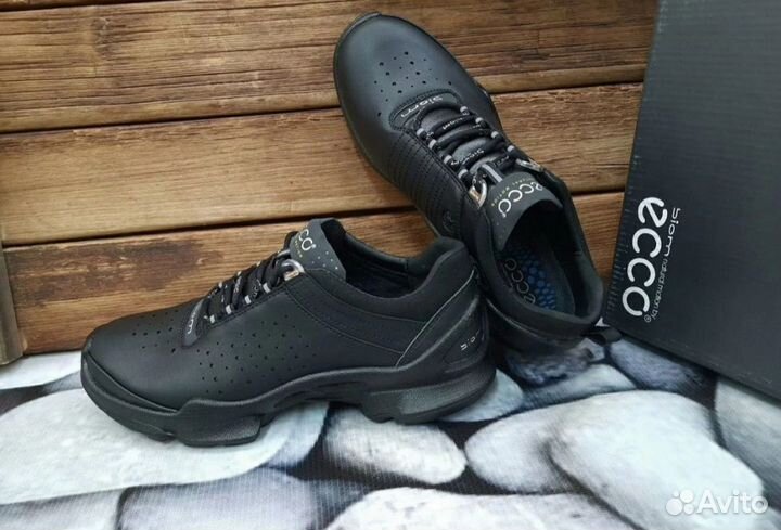 Кроссовки Мужские Ecco Biom