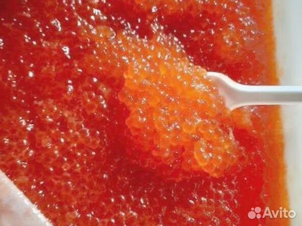 Красная икра лососевых