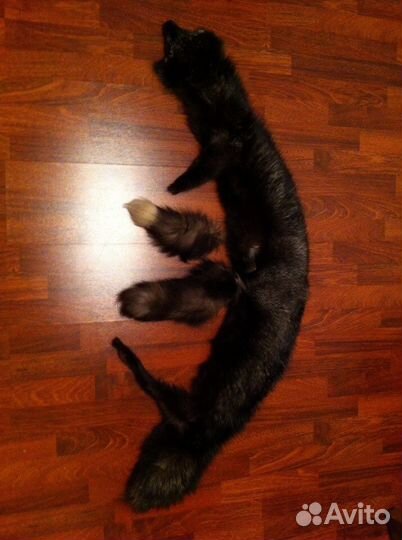 Чернобурка