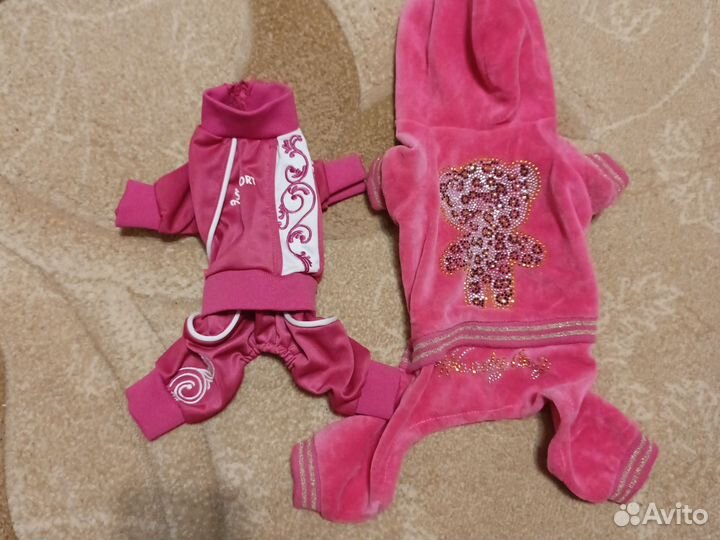 Одежда для мелких собачек