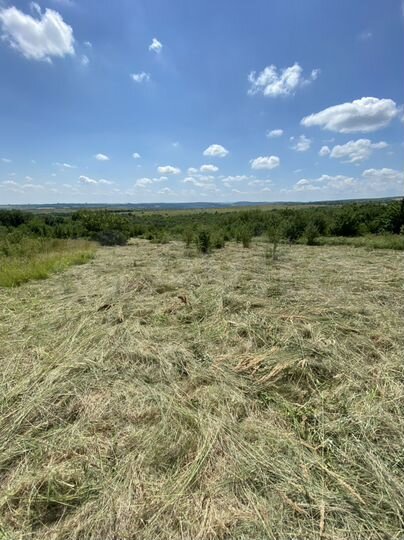 Участок 30 сот. (СНТ, ДНП)