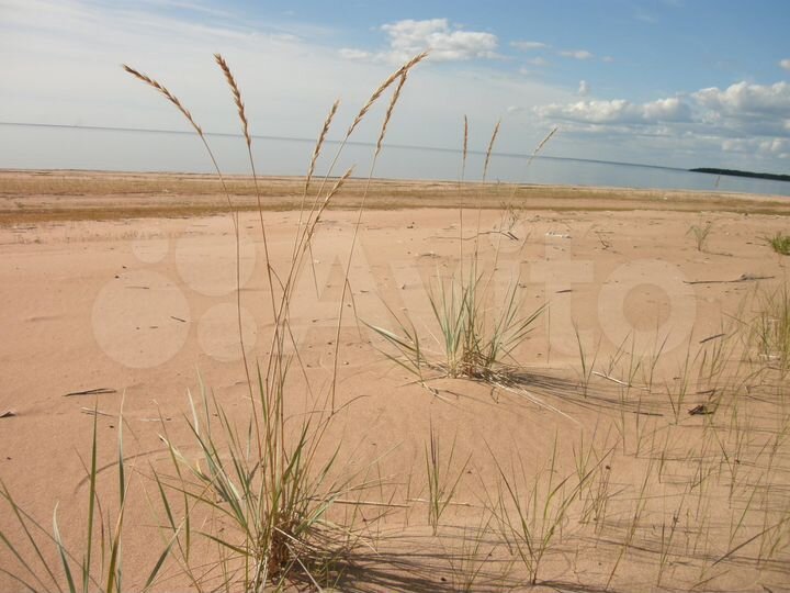 Дом 80 м² на участке 20 сот.