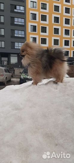 На вязку