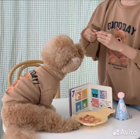 Толстовка для щенка или маленькой собачки