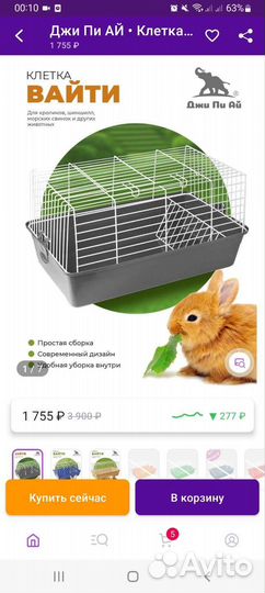Клетка для декоративного кролика