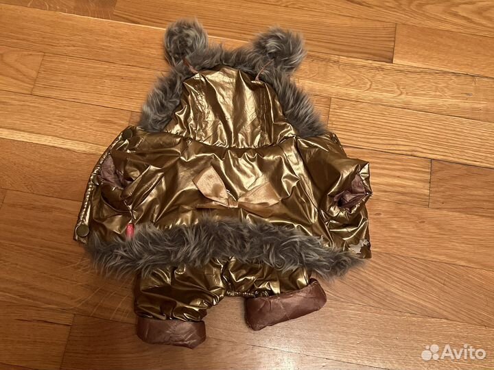 Одежда для собак мелких пород