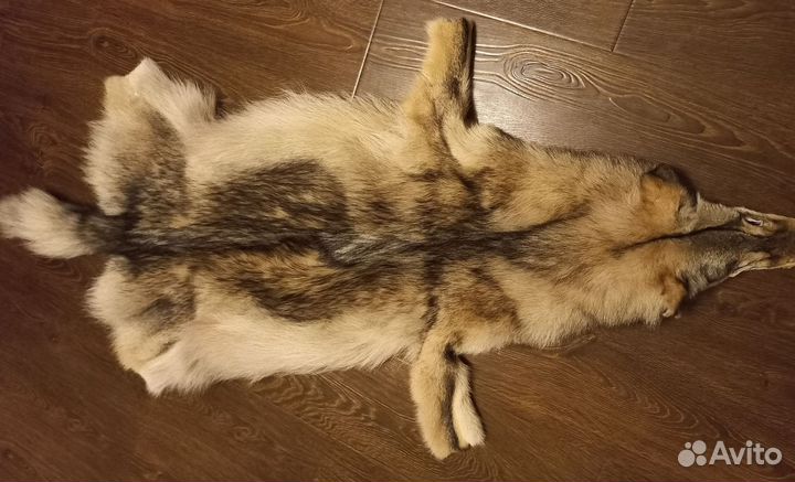 Шкура волка