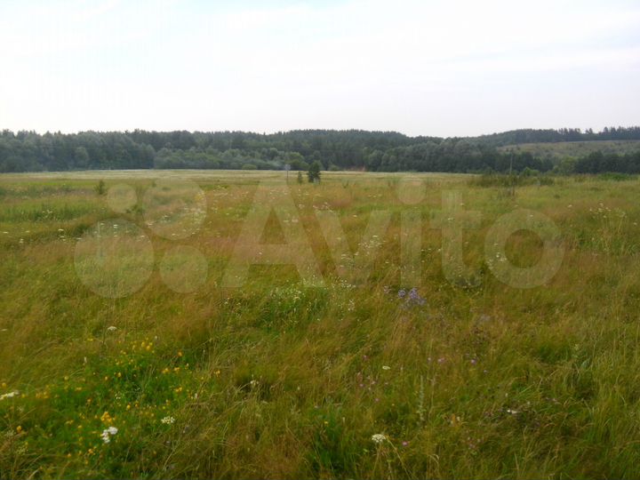 Участок 25 сот. (ИЖС)