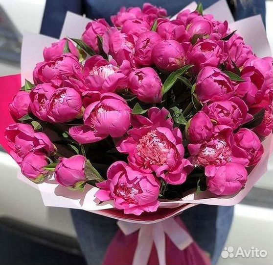 Пионы Букет пионов